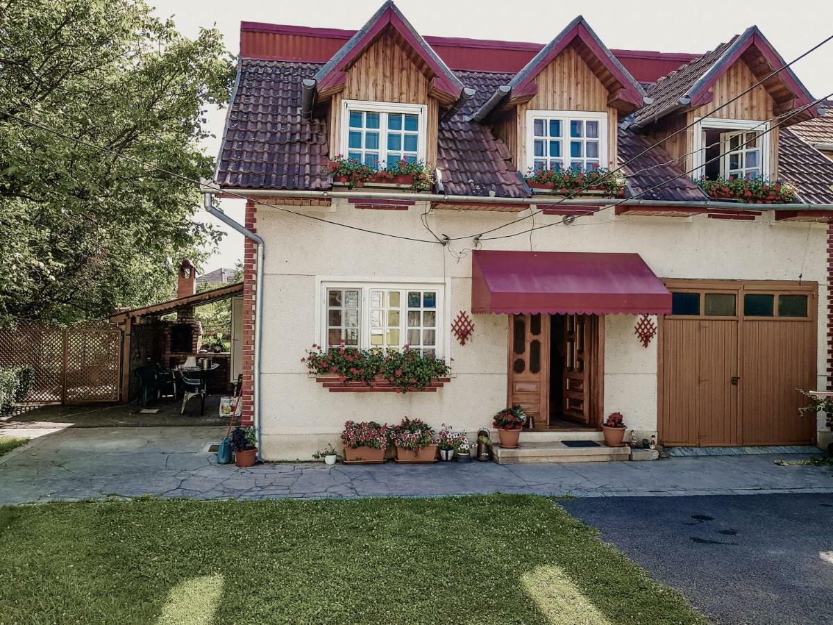 Pensiunea Bunea Haţeg Exterior foto